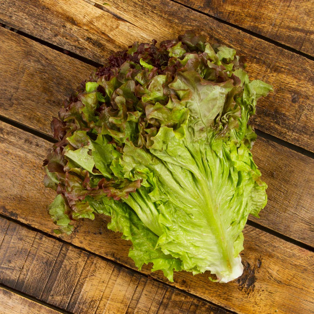 Red Lettuce - (ea)