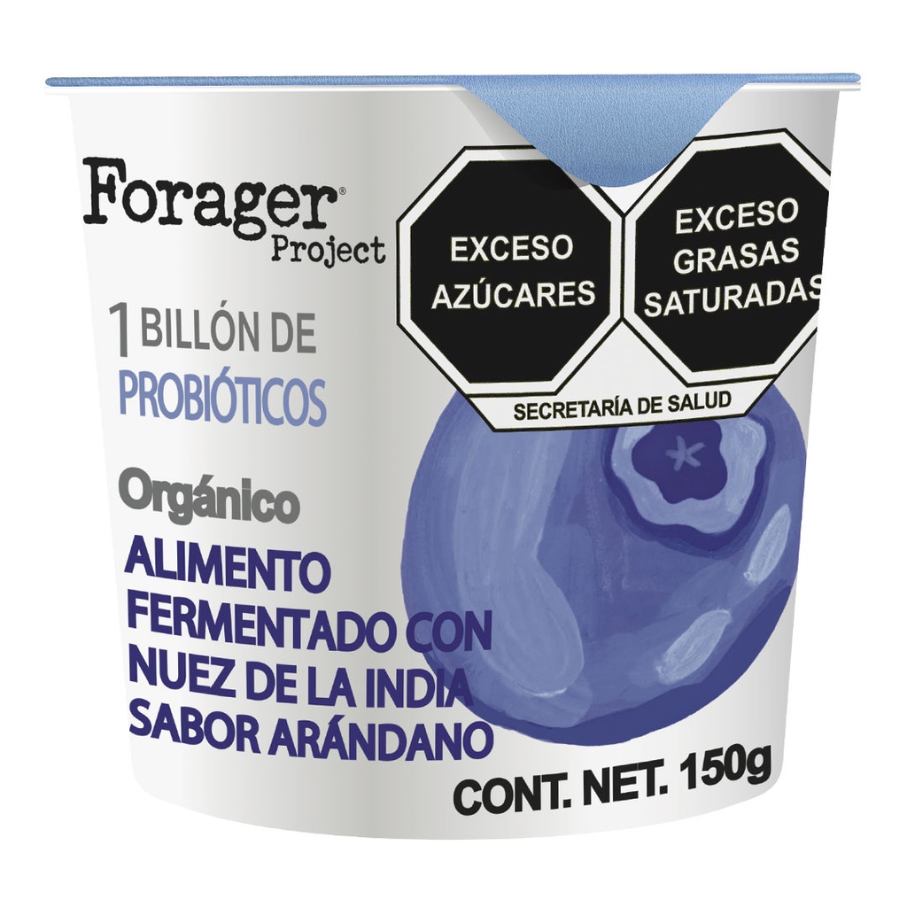Yogurt Orgánico de Arándanos Forager(pz)
